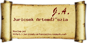 Juricsek Artemíszia névjegykártya